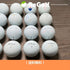 ●3 ロストボール タイトリスト Pro V1 21年 20球